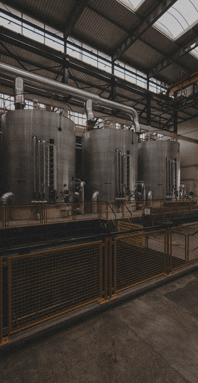 Stainless steel brewing tanks inside the Multi Bev Co facility